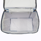 Bolsa Térmica Porta Marmita Lanche Bebidas Vermelho 12litros
